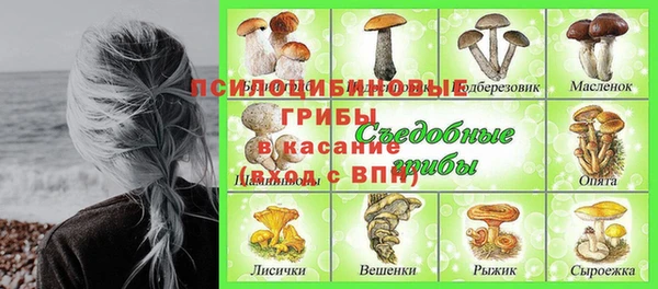 стафф Куйбышев