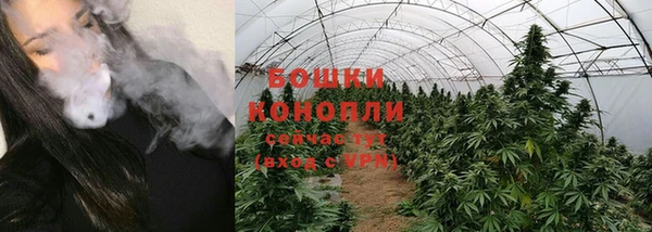 стафф Куйбышев