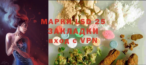 тгк Ладушкин